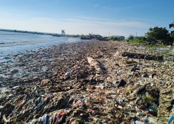 Usai Gelombang Tinggi, Pantai Teluk Kembali Dipenuhi Sampah