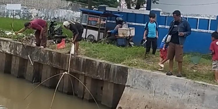 Menangkap Ikan Mabuk
