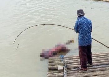 Mayat Pria Tanpa Identitas Ditemukan Mengapung di Sungai Ciujung