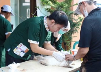Lima Titik Vaksinasi Rabies Gratis di Kota Tangerang, Simak Ketentuannya
