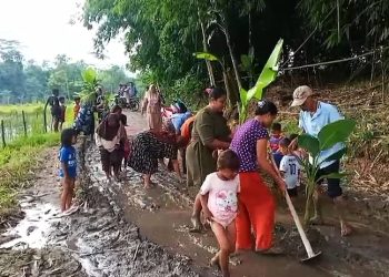 Tanam Padi dan Pisang di Jalan Rusak, Warga Lebak Tagih Janji Andra Soni