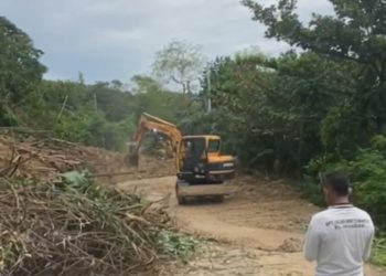 Longsor Tutup Jalan, Dinas PUPR Provinsi Banten Terjunkan Alat Berat, Lalin Kembali Normal