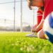 Kamu Mau Usaha Mini Soccer? Berikut Anggaran Biaya, Keuntungan, dan Cara Memulainya