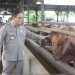 Pastikan Daging Higienis dan Layak Konsumsi, Wakil Bupati Amir Hamzah Sidak ke RPH dan Pasar