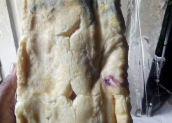 Orang Tua Siswa di Kota Serang Keluhkan Roti MBG Diduga Kadaluwarsa dan Berjamur