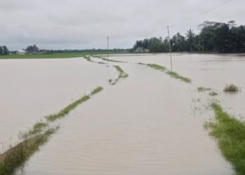 Sungai Cilemer Meluap, Desa Idaman Kembali Terendam