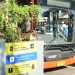 Transjakarta
