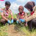 Kwarda Banten Tanam 350 Pohon di Bantaran Sungai Cibanten, Perkuat Ekosistem Lingkungan