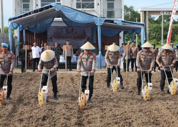 Polda Banten Tanam Jagung Kuartal II, Perkuat Ketahanan Pangan dan Sinergi dengan Masyarakat
