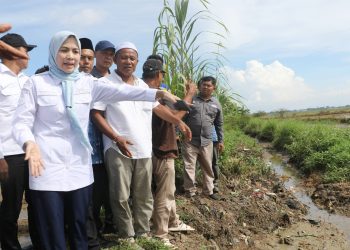1.421 Hektare Sawah Terdampak Pendangkalan, Bupati Serang Janji Perbaiki Irigasi Tirtayasa