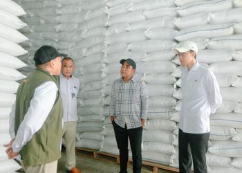 Bulog Lebak-Pandeglang Optimalkan Serapan Gabah, DPRD: Petani Diuntungkan