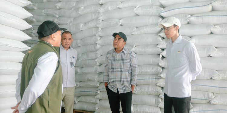 Bulog Lebak-Pandeglang Optimalkan Serapan Gabah, DPRD: Petani Diuntungkan