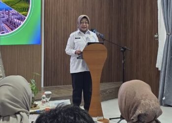 Motor Investasi Nasional Berputar di Banten, PMDN Tulang Punggung Ekonomi Daerah