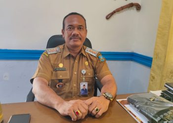 Pendangkalan Sungai Ciwaka, Camat Ciruas Minta Normalisasi Total