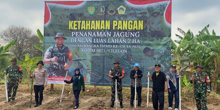 Dukung Program Prabowo, TMMD 128 Kodim 0623/Cilegon Tanam Jagung 2 Hektare di Bulakan