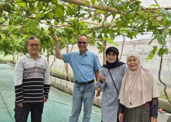 Dari Aktifitas Iseng Saat Pandemi, Kini Jadi Bisnis Menjanjikan