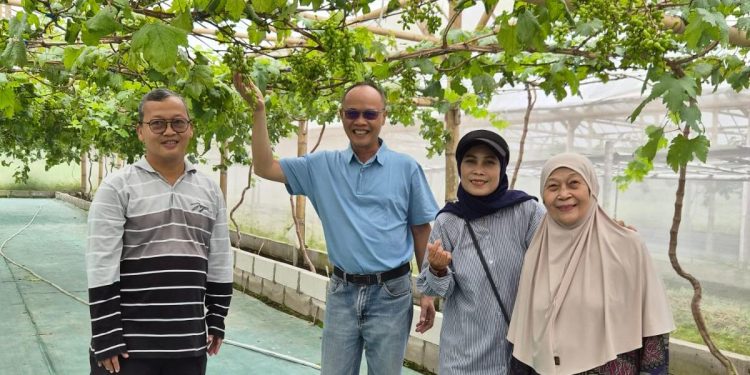 Dari Aktifitas Iseng Saat Pandemi, Kini Jadi Bisnis Menjanjikan