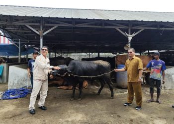 Peduli Sosial Masyarakat di Sekitar PLTU Jawa 7, PT SGPJB dan PLN Nusantara Renewables Bagikan 28 Hewan Kurban