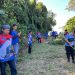Kader Demokrat Bersih-bersih