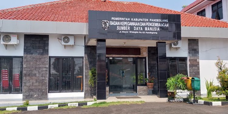 pppk paruh waktu