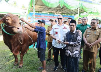 Niat dan Tata Cara Menyembelih Hewan Kurban Sesuai Syariat Islam
