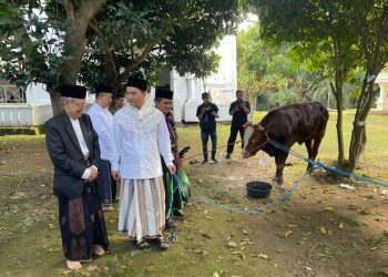 Pemprov Banten Himpun 32 Sapi dan 23 Kambing dari Kurban ASN