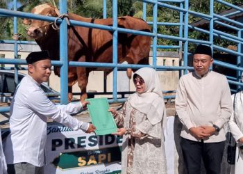 Idul Adha 1447 H, Presiden Prabowo Salurkan Sapi Kurban ke Pandeglang