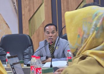 Dukung Evaluasi Kinerja PPPK, Wakil Ketua Komisi I DPRD Banten: Harus Profesional dan Disiplin