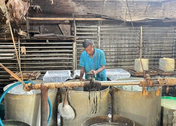 Kebutuhan kedelai impor