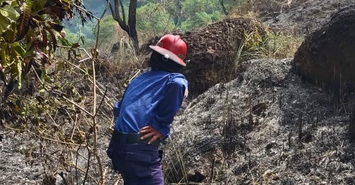 Petugas DPKP Kota Cilegon memadamkan kebakaran ilalang di area TPU Kelurahan Mekarsari, Kecamatan Pulomerak, Sabtu 13 Juni 2026.