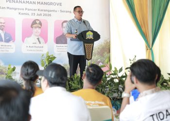 Pemkot Serang Perkuat Pesisir Lewat Penanaman 5.000 Bibit Mangrove