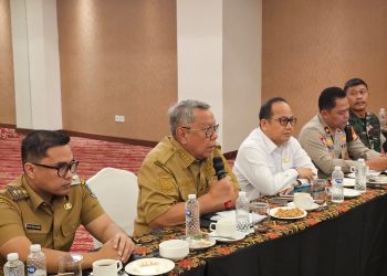 Wali Kota Tangsel Benyamin Davnie