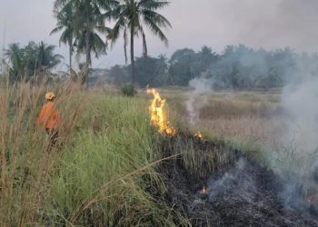 Kebakaran lahan Cilegon