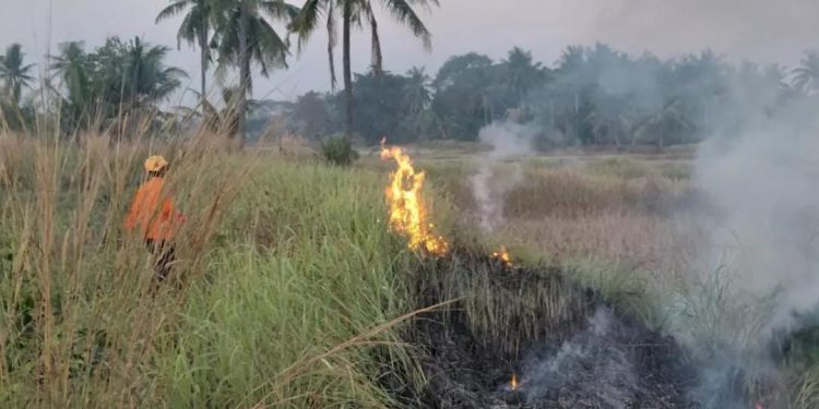 Kebakaran lahan Cilegon