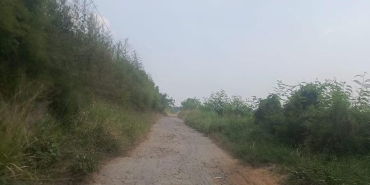 Kondisi akses menuju Puskesmas Kibin