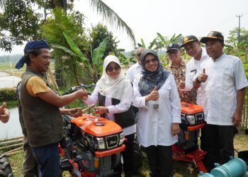 Jaga Ketahanan Pangan, Bupati Dewi Ajak Petani Modernisasi Pertanian