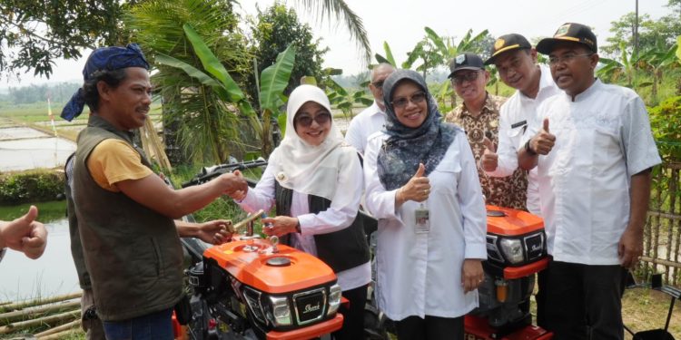 Jaga Ketahanan Pangan, Bupati Dewi Ajak Petani Modernisasi Pertanian