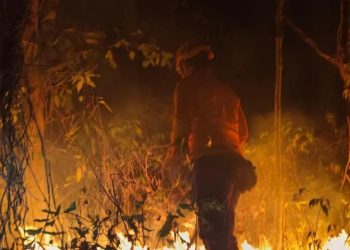 Tiga Kebakaran Lahan Terjadi dalam Semalam di Cilegon, Petugas Gabungan Berjibaku Padamkan Api