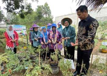 Paramount Petals Gelar Pengobatan Gratis dan Program Lingkungan di Tangerang