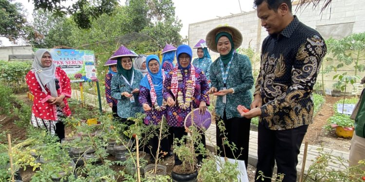 Paramount Petals Gelar Pengobatan Gratis dan Program Lingkungan di Tangerang