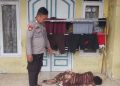 Viral Perempuan Paruh Baya Diduga Penculik Anak di Pontang, Polda Banten Ungkap Faktanya