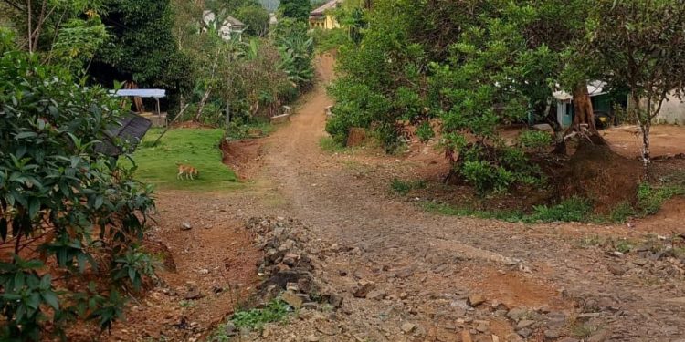 Gubernur Banten Akan Kunjungi Warga yang Sampaikan Petisi Darah