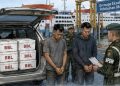 Dua Penyelundup 50 Ribu Benih Lobster Diadili, Terancam Delapan Tahun Penjara