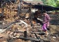Ratusan Ekor Kambing Mati Terpanggang, Kerugian Capai Ratusan Juta Rupiah