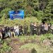 Momentum HUT ke-81 RI, BNN Musnahkan 12 Hektare Lahan Ganja di Aceh