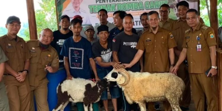 Upland Project Dorong Swasembada Daging dan Ketahanan Pangan di Lebak