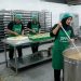 Waspada Loker SPPG Bodong di Kota Serang, Jangan Tergiur Iming-iming Kerja