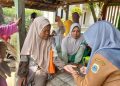layanan cek kesehatan gratis