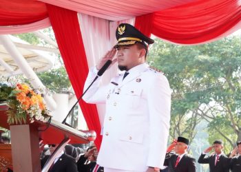 kerja nyata Robinsar HUT ke-81 RI