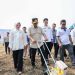 Produksi Padi Banten 1,2 Juta Ton, Sudah 74 Persen dari Target 2026
